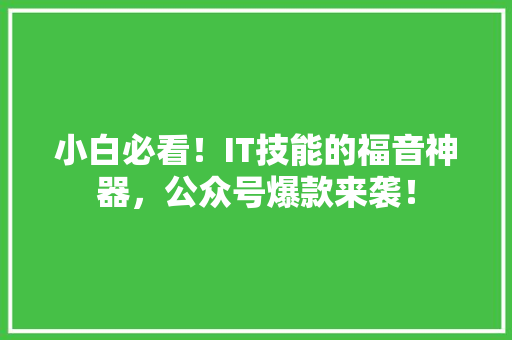 小白必看！IT技能的福音神器，公众号爆款来袭！