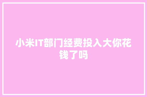 小米IT部门经费投入大你花钱了吗