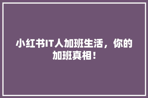 小红书IT人加班生活，你的加班真相！