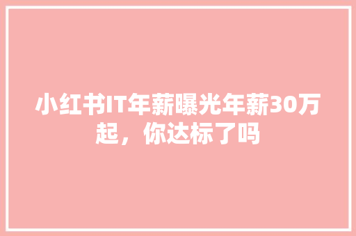 小红书IT年薪曝光年薪30万起，你达标了吗