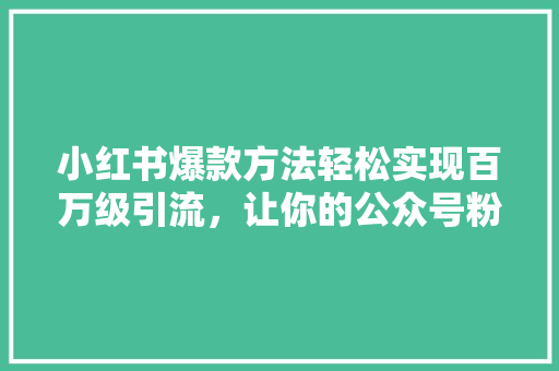 小红书爆款方法轻松实现百万级引流，让你的公众号粉丝暴增！
