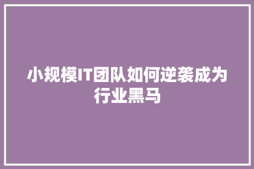 小规模IT团队如何逆袭成为行业黑马