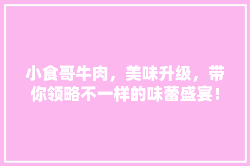 小食哥牛肉，美味升级，带你领略不一样的味蕾盛宴！