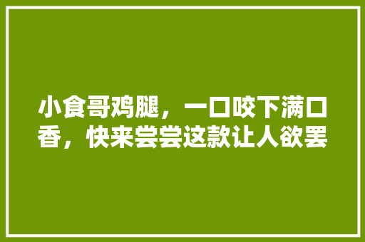 小食哥鸡腿，一口咬下满口香，快来尝尝这款让人欲罢不能的美食！