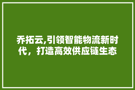 乔拓云,引领智能物流新时代，打造高效供应链生态