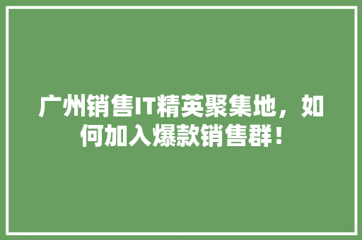 广州销售IT精英聚集地，如何加入爆款销售群！
