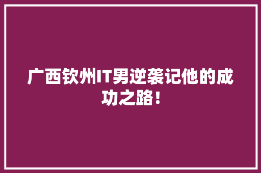广西钦州IT男逆袭记他的成功之路！ 头条优化
