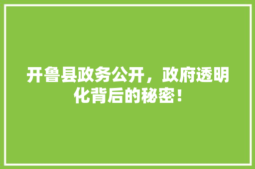 开鲁县政务公开，政府透明化背后的秘密！ 头条优化