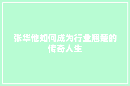 张华他如何成为行业翘楚的传奇人生 网站开发