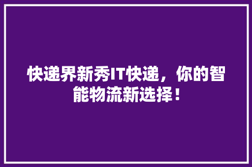 快递界新秀IT快递，你的智能物流新选择！