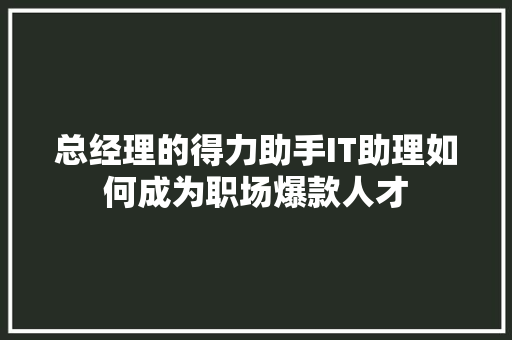 总经理的得力助手IT助理如何成为职场爆款人才 网站优化