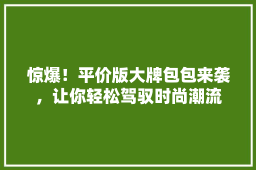 惊爆！平价版大牌包包来袭，让你轻松驾驭时尚潮流