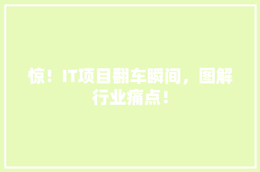 惊！IT项目翻车瞬间，图解行业痛点！