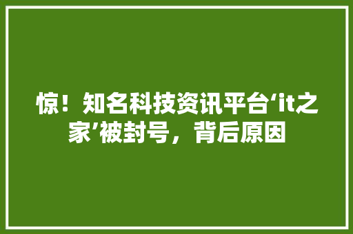 惊！知名科技资讯平台‘it之家’被封号，背后原因