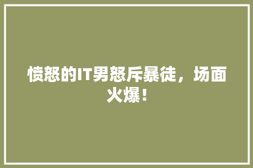 愤怒的IT男怒斥暴徒，场面火爆！ 搜狗优化