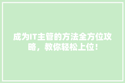 成为IT主管的方法全方位攻略，教你轻松上位！ 搜狗优化