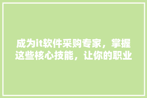 成为it软件采购专家，掌握这些核心技能，让你的职业生涯一路绿灯！ 头条优化