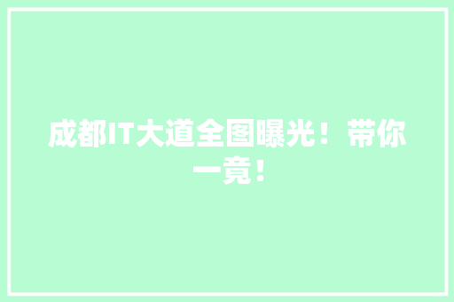 成都IT大道全图曝光！带你一竟！ 百度算法