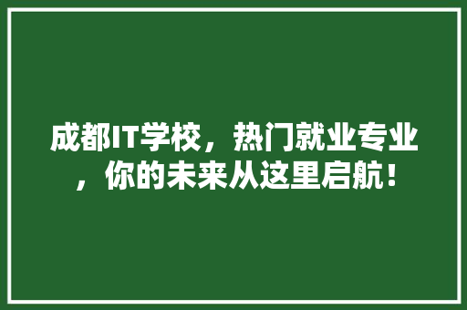 成都IT学校，热门就业专业，你的未来从这里启航！
