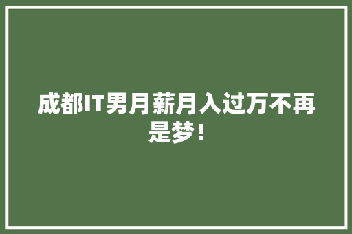 成都IT男月薪月入过万不再是梦！