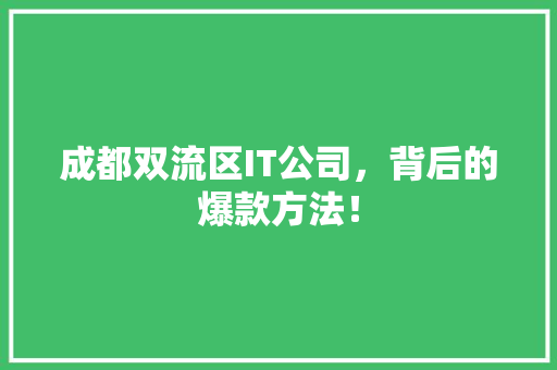 成都双流区IT公司，背后的爆款方法！