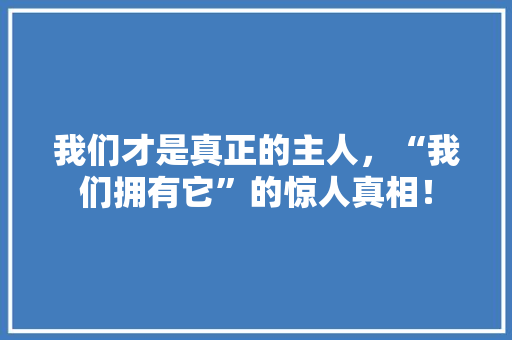 我们才是真正的主人，“我们拥有它”的惊人真相！