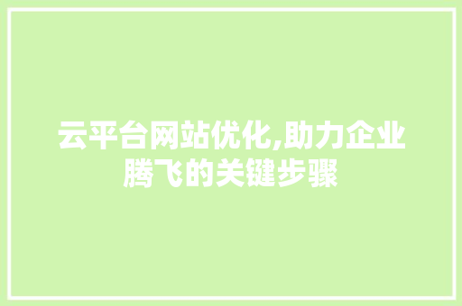 云平台网站优化,助力企业腾飞的关键步骤