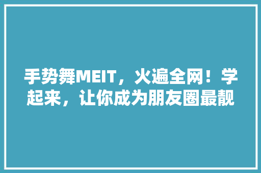 手势舞MEIT，火遍全网！学起来，让你成为朋友圈最靓的仔！ 头条优化