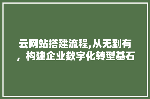 云网站搭建流程,从无到有，构建企业数字化转型基石