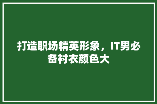 打造职场精英形象，IT男必备衬衣颜色大