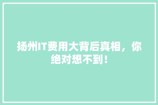 扬州IT费用大背后真相，你绝对想不到！