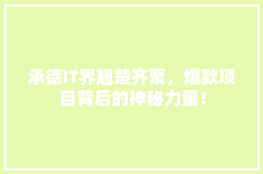 承德IT界翘楚齐聚，爆款项目背后的神秘力量！