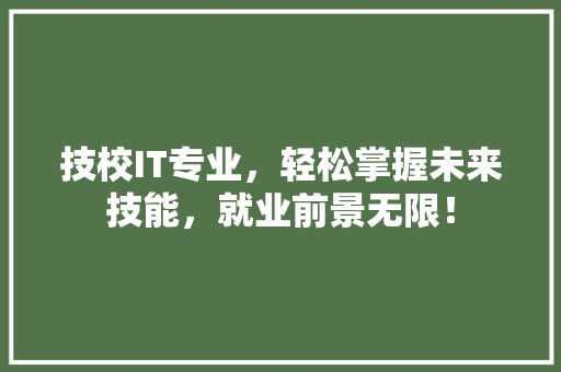 技校IT专业，轻松掌握未来技能，就业前景无限！