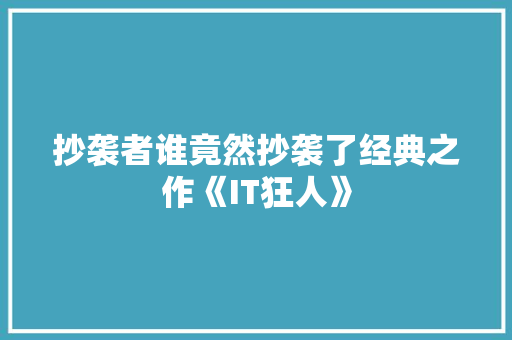 抄袭者谁竟然抄袭了经典之作《IT狂人》 搜狗优化