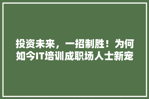 投资未来，一招制胜！为何如今IT培训成职场人士新宠！ 网站开发