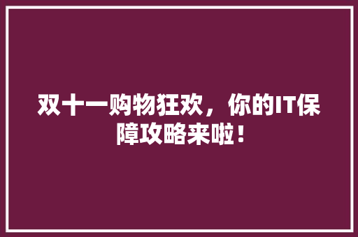 双十一购物狂欢，你的IT保障攻略来啦！