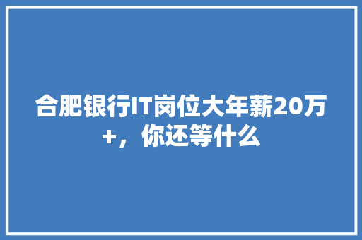 合肥银行IT岗位大年薪20万+，你还等什么
