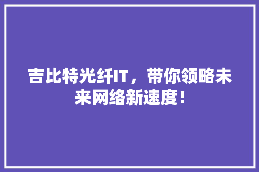 吉比特光纤IT，带你领略未来网络新速度！