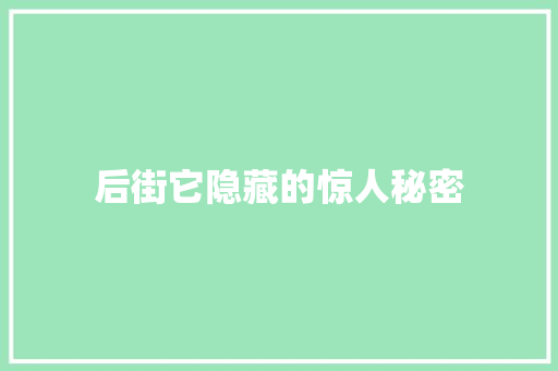 后街它隐藏的惊人秘密