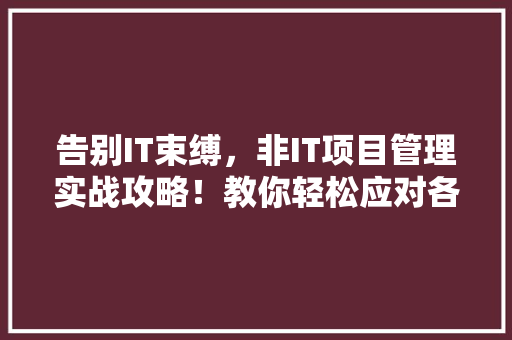告别IT束缚，非IT项目管理实战攻略！教你轻松应对各种复杂项目挑战