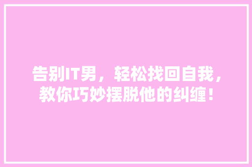 告别IT男，轻松找回自我，教你巧妙摆脱他的纠缠！ 网站开发