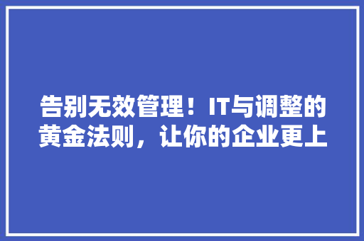 告别无效管理！IT与调整的黄金法则，让你的企业更上一层楼