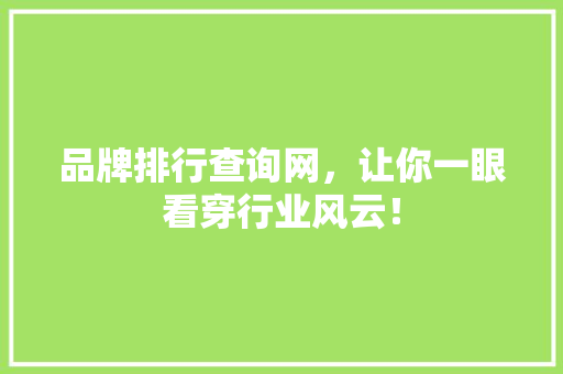 品牌排行查询网，让你一眼看穿行业风云！
