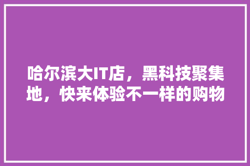 哈尔滨大IT店，黑科技聚集地，快来体验不一样的购物狂欢！