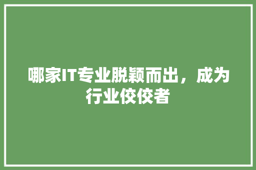哪家IT专业脱颖而出，成为行业佼佼者