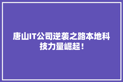 唐山IT公司逆袭之路本地科技力量崛起！ 搜狗优化