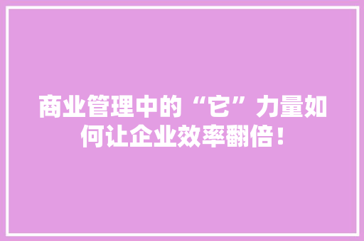 商业管理中的“它”力量如何让企业效率翻倍！