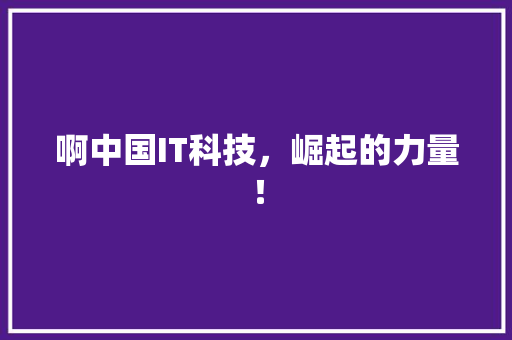啊中国IT科技，崛起的力量！