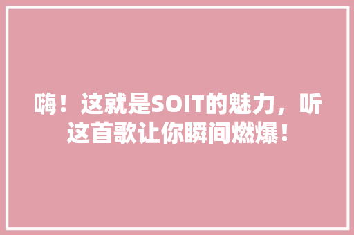 嗨！这就是SOIT的魅力，听这首歌让你瞬间燃爆！