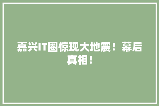 嘉兴IT圈惊现大地震！幕后真相！